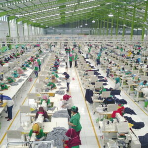 Workers Are Sewing The Cover Of A Dog Bench